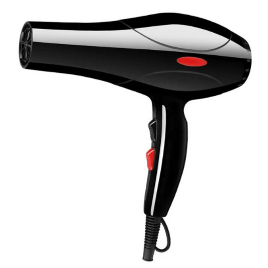 Professional Hot & Cold Hair Dryer